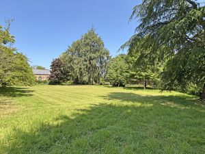 Photo 2- click for photo gallery